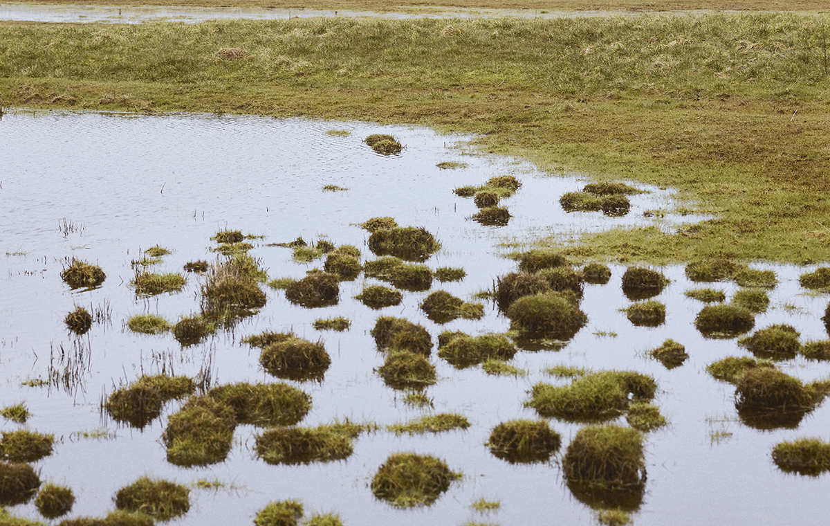 230329 Dline X Femte Til Venstre 0U8A2329