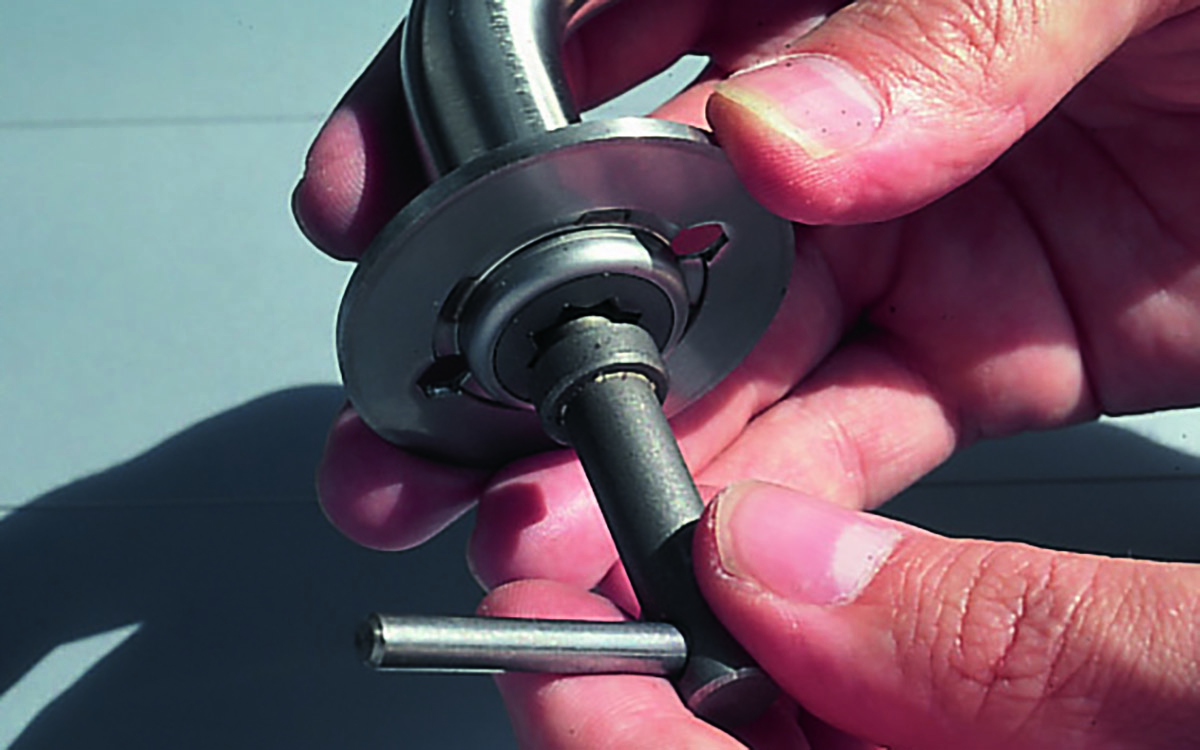 Tool Ball Earing Roses (1)